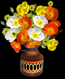 鲜花