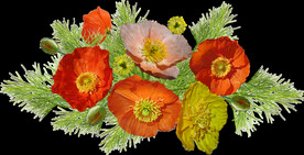 鲜花