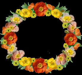 鲜花