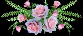 玫瑰花