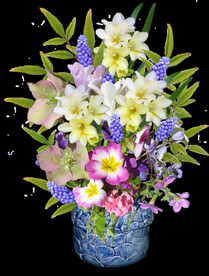 鲜花
