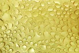 金色水泡