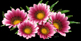 鲜花