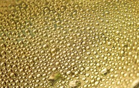 金色水泡