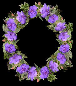 鲜花