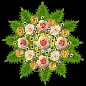 玫瑰花
