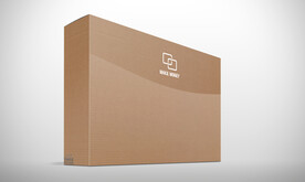 纸箱样机