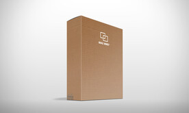 纸箱样机