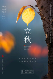 立秋海报