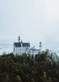 树林中的国外建筑