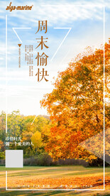周末愉快