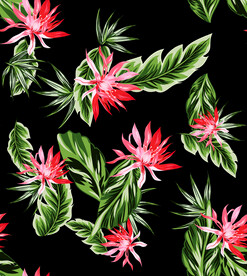 植物花