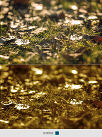 PS动作预设复古动作