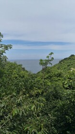 海南旅游风景