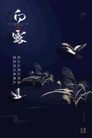 白露节气海报