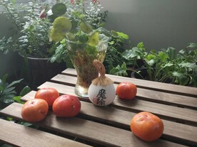 桌上的柿子