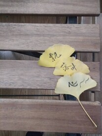 秋天的桌面