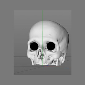 c4d模型头骨头头骨