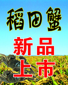 稻田河蟹 