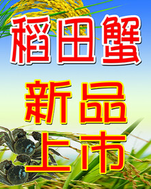 稻田河蟹 
