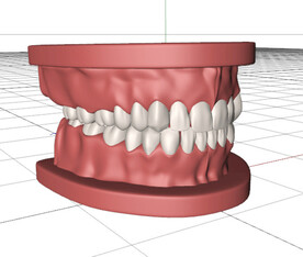 C4D模型假牙带动画