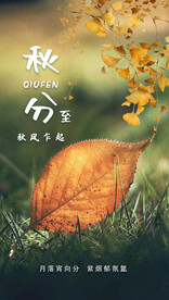 秋分海报