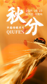 秋分海报