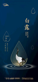 简约蓝金白露露滴节气海报