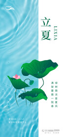 立夏荷叶节气海报.