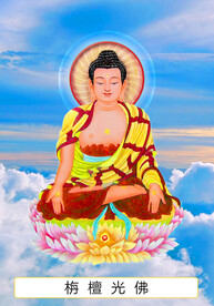 第五尊 栴檀光佛