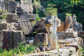 十堰龙泉寺旅游区