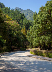 十堰牛头山国家森林公园