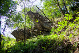 十堰牛头山国家森林公园