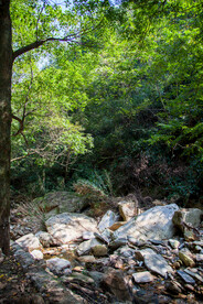 十堰牛头山国家森林公园