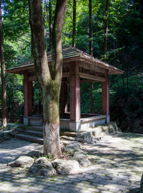 十堰牛头山国家森林公园