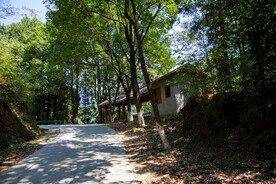 十堰牛头山国家森林公园
