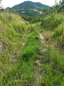 草原古路