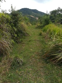 草原路