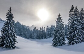 冬天