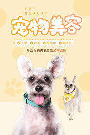 宠物美容