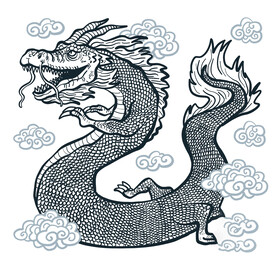 龙 