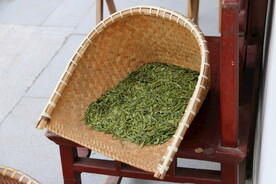 茶园摄影 茶叶 绿茶 西湖龙井