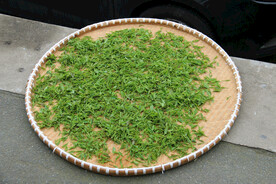 茶园摄影 茶叶 绿茶 西湖龙井