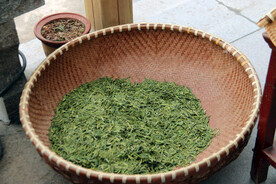 茶园摄影 茶叶 绿茶 西湖龙井