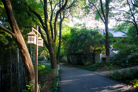 岳阳金鹗山公园金鹗山孔子公园