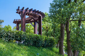 岳阳螺丝岛风光
