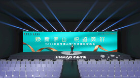 年会发布会
