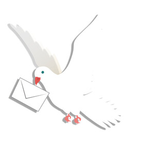 鸽子