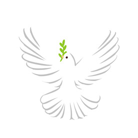 鸽子