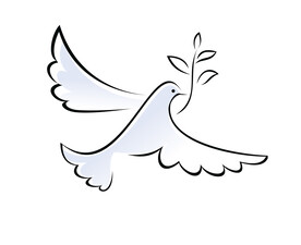 鸽子